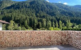 Alpine Apartment Belluca